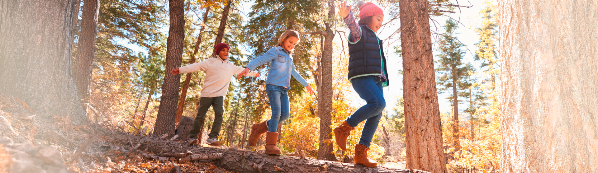 Drei Kinder balancieren auf einem Baumstamm im Wald